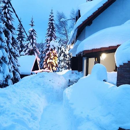 Uki & Sofi Mountain House Hotell Kopaonik Eksteriør bilde