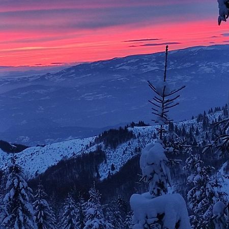Uki & Sofi Mountain House Hotell Kopaonik Eksteriør bilde