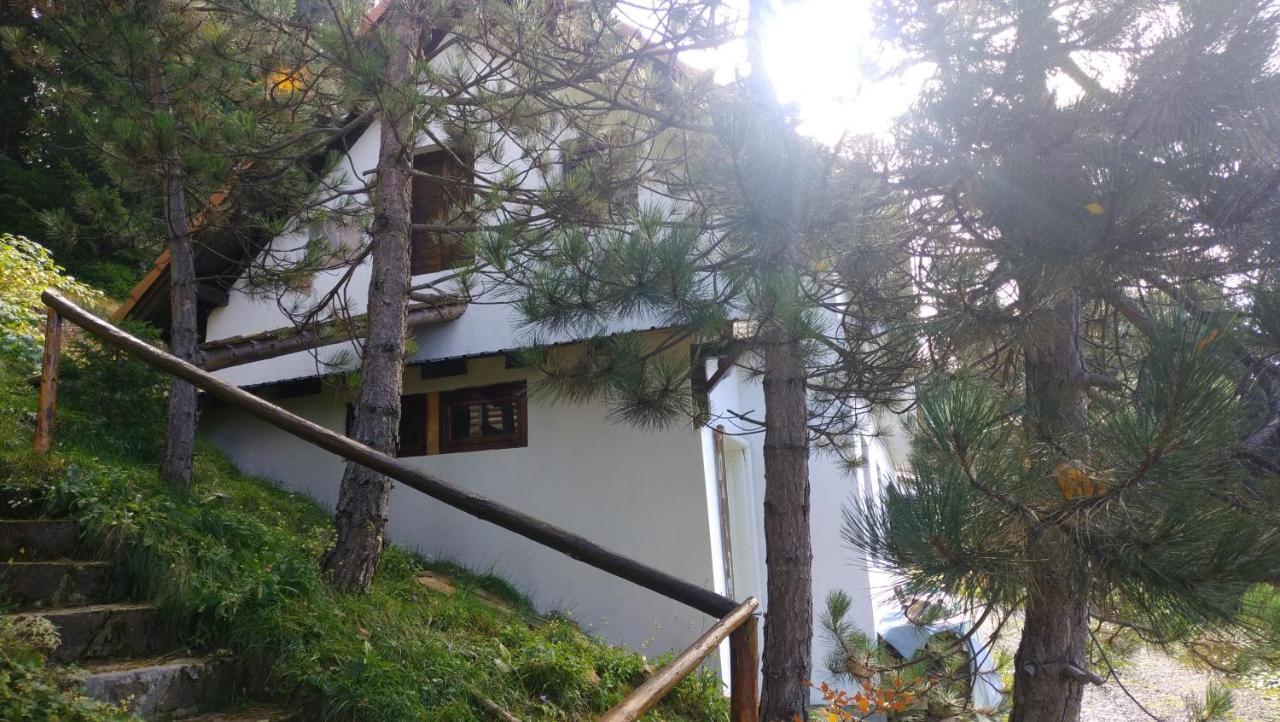 Uki & Sofi Mountain House Hotell Kopaonik Eksteriør bilde