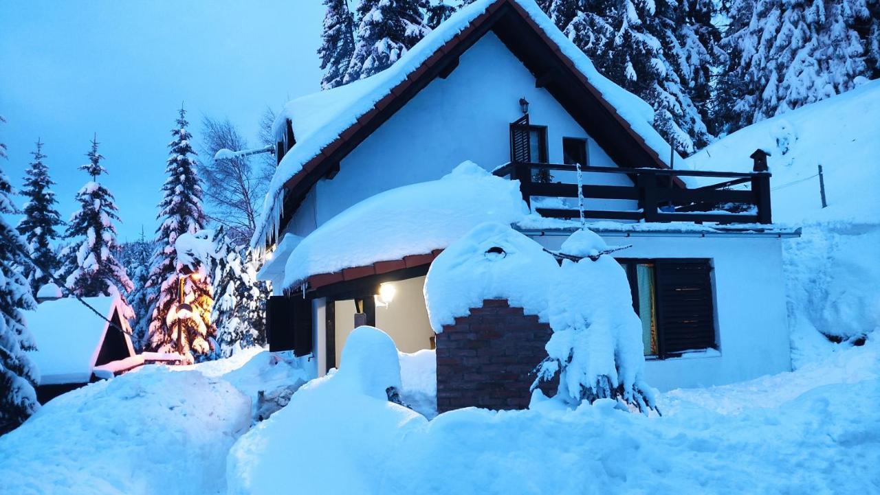 Uki & Sofi Mountain House Hotell Kopaonik Eksteriør bilde