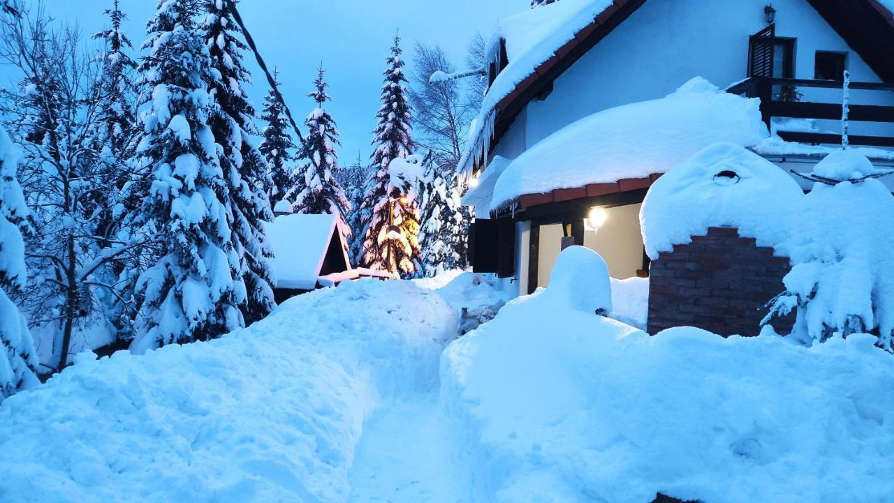 Uki & Sofi Mountain House Hotell Kopaonik Eksteriør bilde