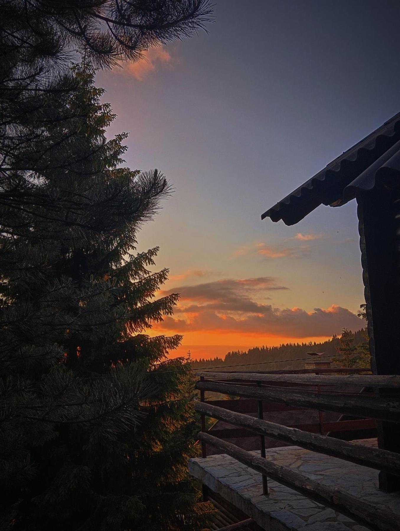 Uki & Sofi Mountain House Hotell Kopaonik Eksteriør bilde