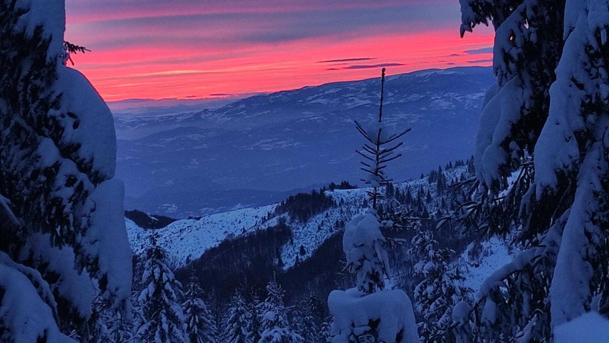 Uki & Sofi Mountain House Hotell Kopaonik Eksteriør bilde
