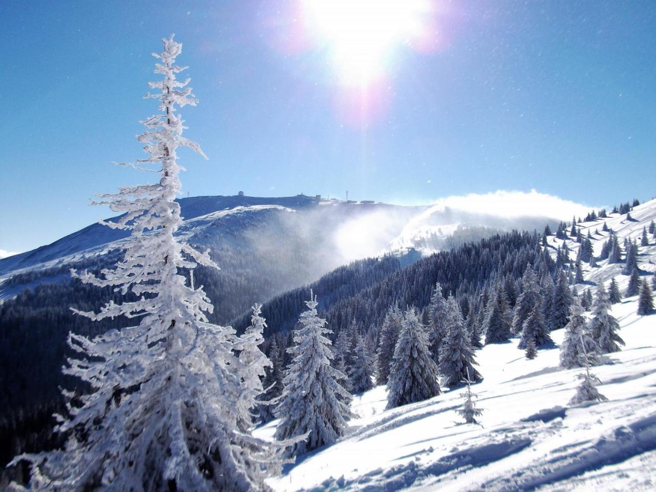 Uki & Sofi Mountain House Hotell Kopaonik Eksteriør bilde