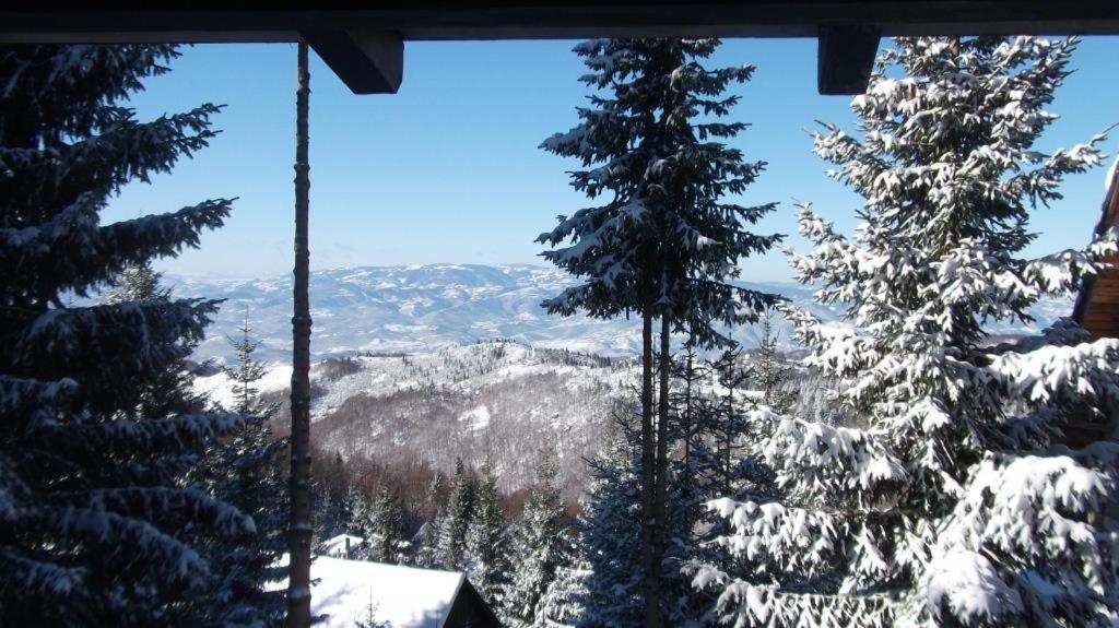 Uki & Sofi Mountain House Hotell Kopaonik Eksteriør bilde